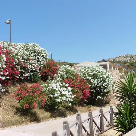 Apartamento Ground Floor With Swimming Pool Trinità dʼAgultu