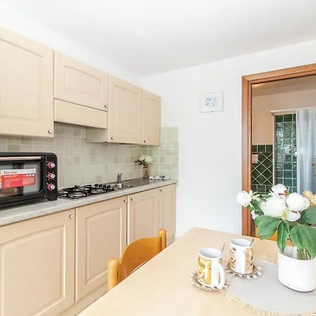 Ground Floor With Swimming Pool Apartment Trinita d'Agultu e Vignola